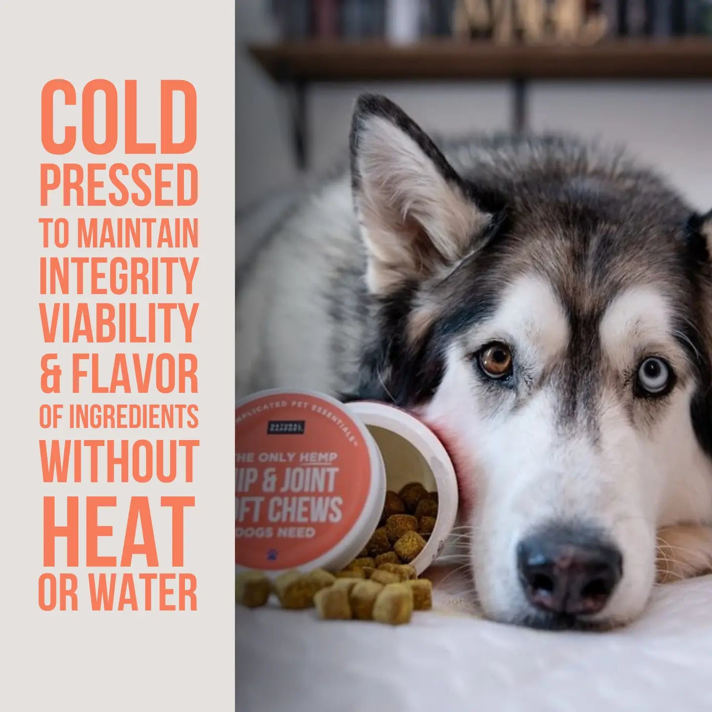 Natural Rapport Hip and Joint Soft Chews
