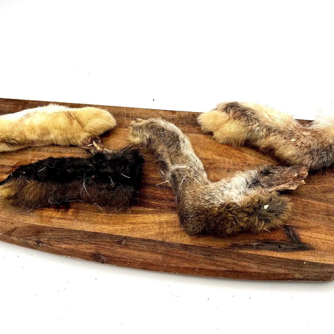Dried Rabbits Foot