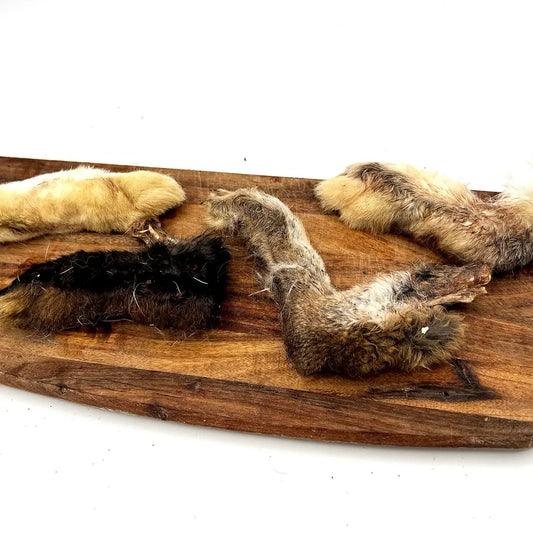 Dried Rabbits Foot